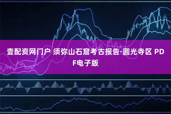 壹配资网门户 须弥山石窟考古报告·圆光寺区 PDF电子版